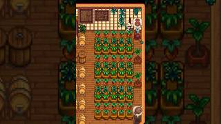 Stardew Valley Shed Idea 🧃