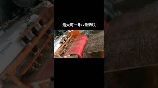 BT800 Double Spindle Multi Saw Blade Tile Cutting Machine 80O型双组刀连续介砖机