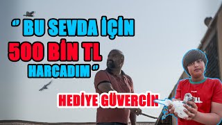 BU SEVDA İÇİN 500 BİN TL HARCADIM: HEDİYE GÜVERCİN - GARİP KABALA