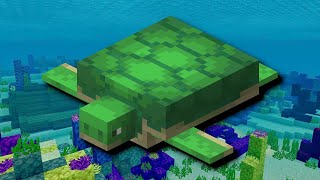 HOW DO YOU BREED A TURTLE!? Vanilla Minecraft Ep.1