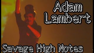 ADAM LAMBERT SAVAGE HIGH NOTES