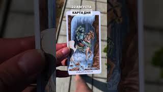 22 АВГУСТА, ЧЕТВЕРГ. Карта дня - рыцарь кубков. #tarotube #тарологонлайн #таро #tarot #таролог