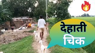 shreejal ke gaw me aaya dehati chik bakri kaise kharidta h dekhiye || dehati Chik comedy vedio