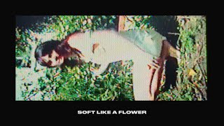 Cherry Glazerr - Soft Like A Flower