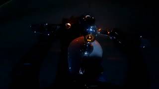 Late night cruise on the Sportster XL1200 Custom