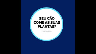 Seu Cão come as suas plantas?