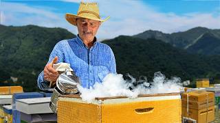 How Azerbaijani Beekeepers Live Nowadays? Harvesting Beehives and Cooking Sweet Honey Dessert