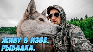 ЖИВУ НА "БАЗОВОЙ". РЫБАЛКА, ГРИБЫ. ПОСТАВИЛ АНТЕННУ.