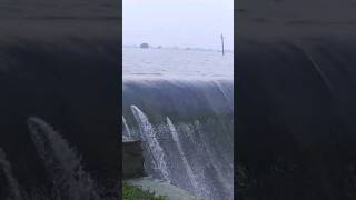 Bagheri Naka Udaipur Overflowing#udaipur#lakes#rajadthan#viralshorts