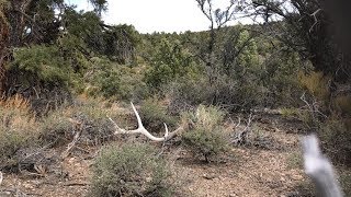 2018 ELK SHEDS,Nevada shed opener. #BONEZONE#HUNTAVID