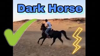 الحصان الاسود Dark Horse