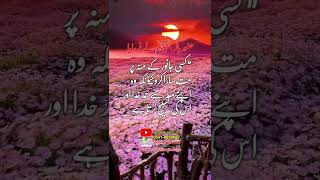 Kisi janwar k mou par || mat maro kyun k || #shorts hadees