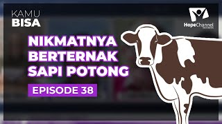 KAMU BISA "Nikmatnya Beternak Sapi Potong" - Episode 38