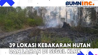 39 Lokasi Kebakaran Hutan dan Lahan di Segel KLHK