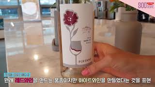 [수드비 와인 라벨읽기] 적포도로 만든 화이트 와인이 있다니!!! - Foffani Merlot Bianco