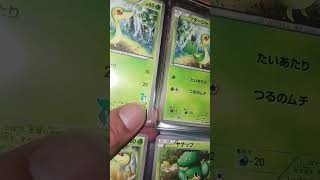 Pokémon Japanese Card Collection Binder Pt. 9