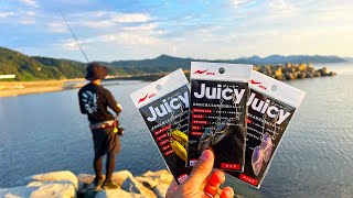 透明な樹脂のブレードって何がすごいの？アピアの新商品「Juicy（ジューシー）」を使って日本海でロックフィッシュを狙いました！