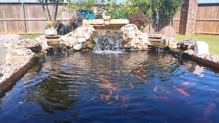 CRYSTAL CLEAR WATER KOI POND UPDATE