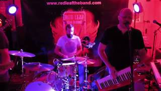 #RLive Learn To Fly cover by Red Leaf The Band live at The Rampant Horse