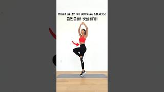 Quick Belly Fat Burning Exercise - 급찐급빠 뱃살빼기🔥 #bellyfat #workout #losebellyfat #weightloss