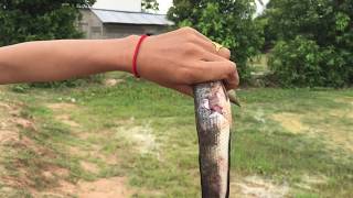 Amazing Modern Fishing by Mini Boom - Use mini boom to fishing in  Cambodia