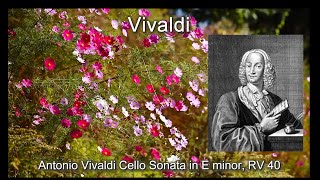 Vivaldi Cello Sonata in E minor, RV 40 | Antonio Lucio Vivaldi