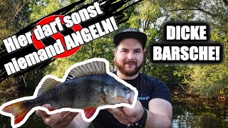 Barschangeln im GEHEIMEN Flussabschnitt!