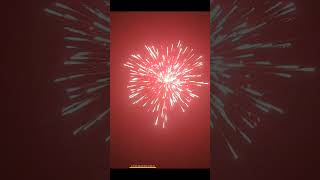 Janamashtmi special  Sony Vinayaga 4" 3 sky shots #sonyfireworks Nagpal and sons #cockbrand #skyshot