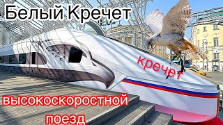 Ого🔥БЕЛЫЙ КРЕЧЕТ💥Впервые ВЫСОКОСКОРОСТНОЙ поезд🔥Как он будет выглядеть 💥ВСМ-1 Москва-Санкт-Петербург