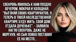 Выгоняй своих квартирантов, я теперь в твоей квартире буду жить, - заявила нагло свекровь