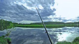 РЫБАЛКА НА КАРПА  не удачна / ЩУКА КЛЮНУЛА НА ОПАРАША     carp fishing