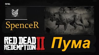 Превосходная Шкура Пумы. Red Dead Redemption 2.