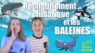 Changement climatique et les baleines - Kids News Break