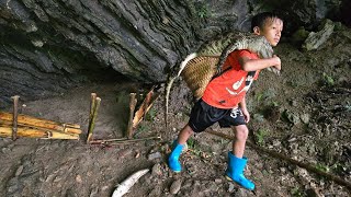 FULL VIDEO 65 days highland boy khai set traps to catch catfish, crocodiles and turtles to sell