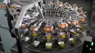 Egg breaking and separator machine