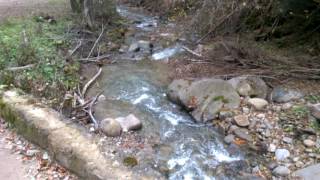 Creek in the mountains