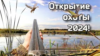 Открытие охоты 2024! Охота на утку в Сибири! #охотансо