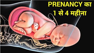 Pregnancy का 1 से लेकर 4 महीने का सफर | #shorts | The Science System