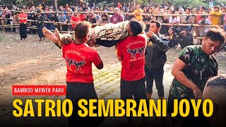 Gedruk Pindo Celeng Kalap Didandani Lucu, SATRIO SEMBRANI JOYO live BAMBOO MEWEK PARK 3