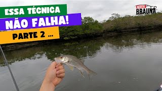 É MUITO ROBALO!!! QUER PEGAR MAIS PEIXE??? SE LIGA NESSE CONTEÚDO!!!