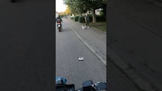 Ein HUNDIII🥹🥹 #hund #wo #motorrad #love