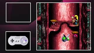 Donkey Kong Country 3: Dixie Kong's Double Trouble! 105% Walkthrough. Part 10 - Springin' Spiders