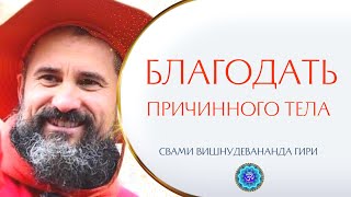 Глубина осознавания. Океан благодати | Свами Вишнудевананда Гири