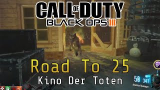 Call Of Duty Zombies Challenge: Round 25 on Every Map! Black Ops 3: Kino der Toten