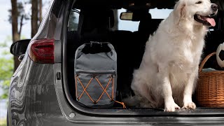 Dog Training Food Travel Bag