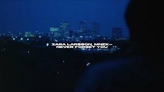 zara larsson, mnek - never forget you (sped up + reverb)