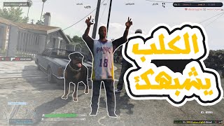 ازعجت الادمن !! شيل الكلب عني. خليته يسقي السيرفر🤣 قراند الحياة الواقعية GTA 5