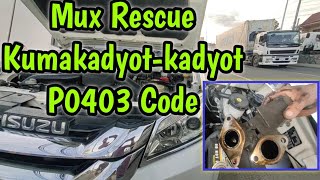 Rescue Isuzu MUX Check engine light glowing P0403 code