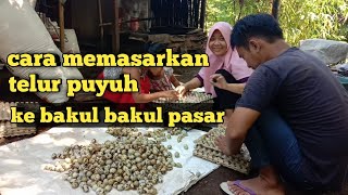 tips dan cara memasarkan telur puyuh ke pasar pasar