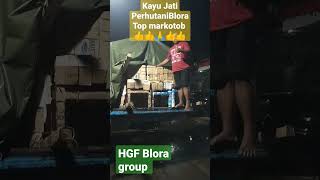 Tiada duanya top markotob kayu jati perhutani Blora #shorts #shortvideo #short